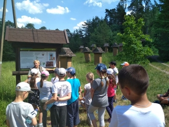 muzwig089