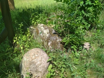 muzwig092