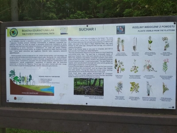 muzwig097