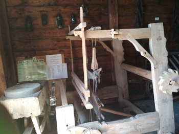 muzwig104