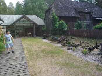 muzwig105