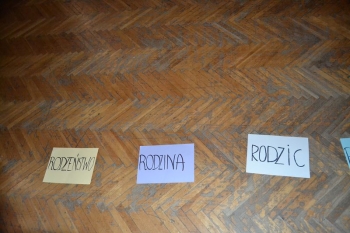 proj11