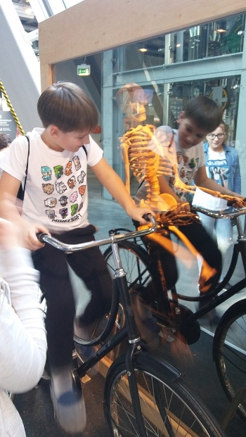 cnk11