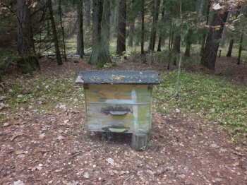 bagno49