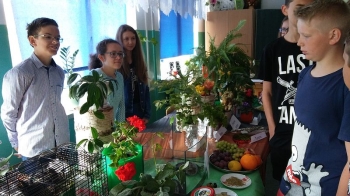 fest038