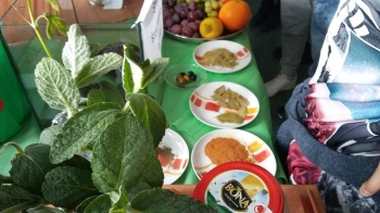 fest083