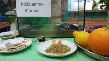 fest092