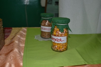 dchleba10