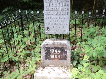 grzedy19