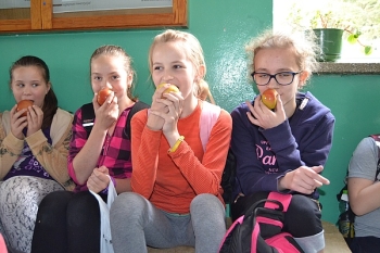 jablka04