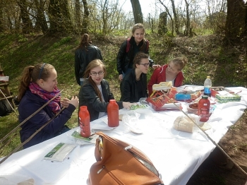 piknik33