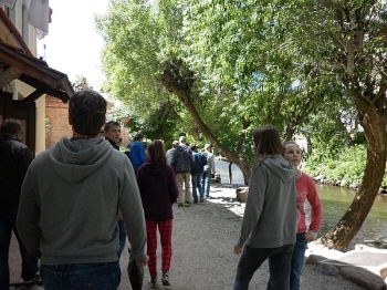 litwa065