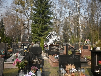 wars066