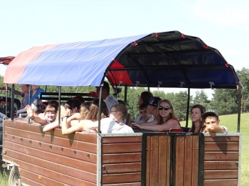 gizycko84
