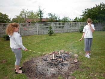 piknik_22