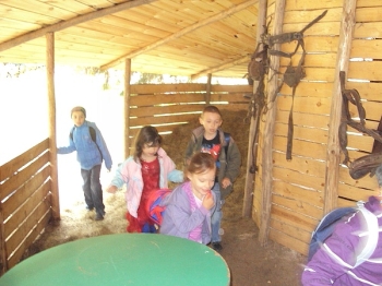 bajki_037