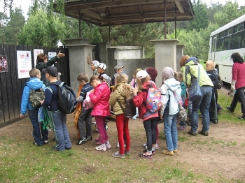 bajki_078