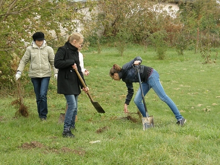Święto drzewa w naszej szkole - projekt uczniowski klasy IIb