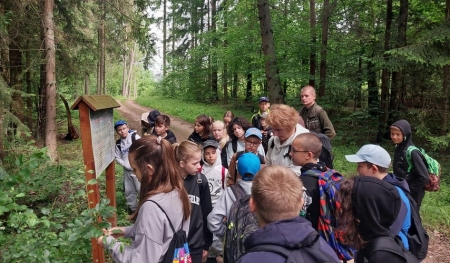 Edukacja leśna na ścieżce dydaktycznej „Bargieł”