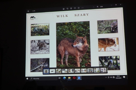 Wyprawa wilczym tropem