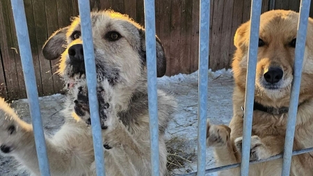 POMOC BRACIOM MNIEJSZYM