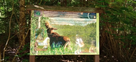 Edukacja leśna na ścieżce ''Bargieł'' w lesie Karpa