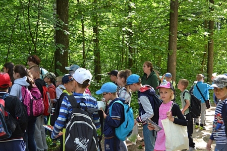 Zielona lekcja na ścieżce dydaktycznej „Bargieł”